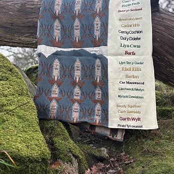 blanket layed on a tree branch