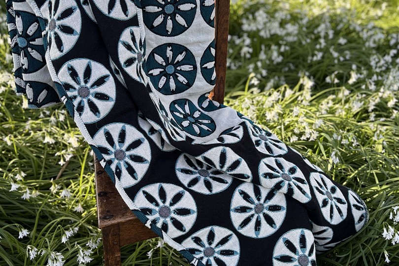 Llygad y dyffryn blanket